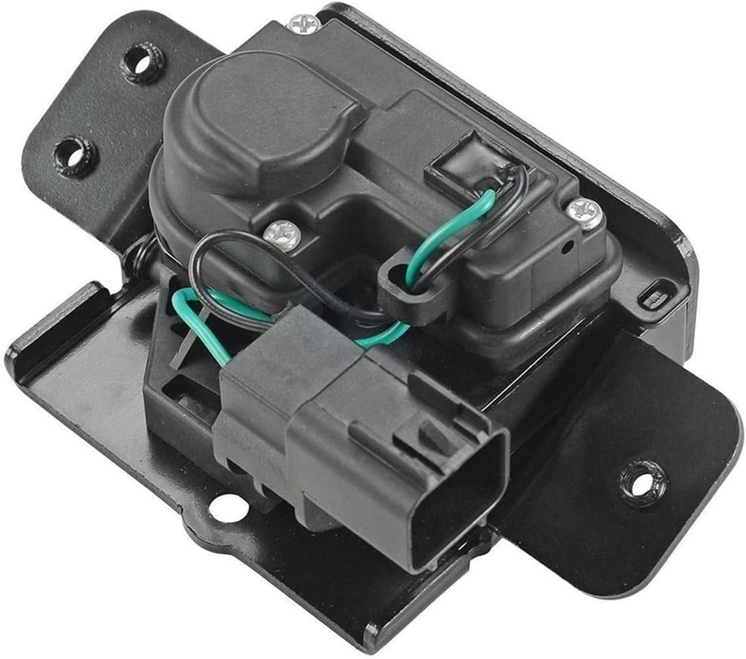 森夏男 作『華』Sサイズ B4 華 S(B4サイズ) | 森夏男画廊